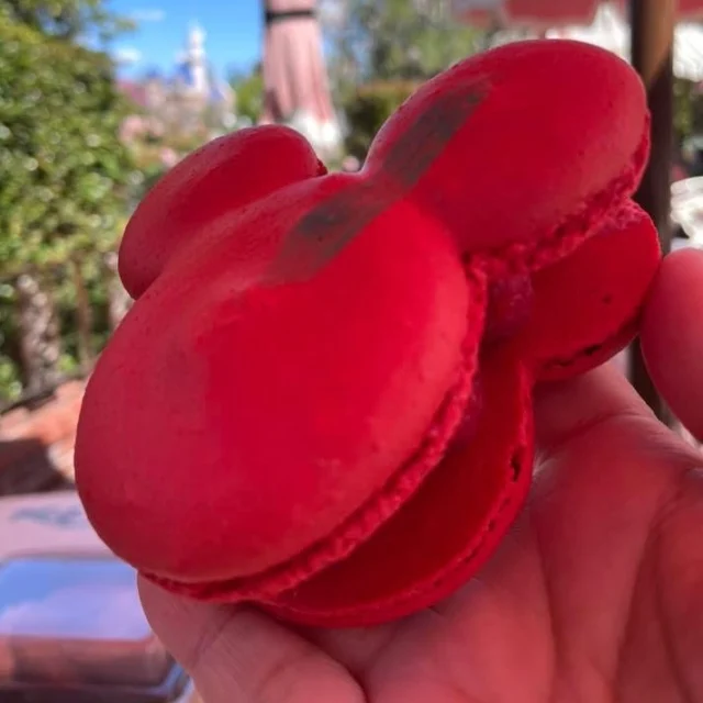 Sweetest mouse in the house!#disneyland #mickeymacaron #macaron #disney #lifestyleblogger #simplymegsie