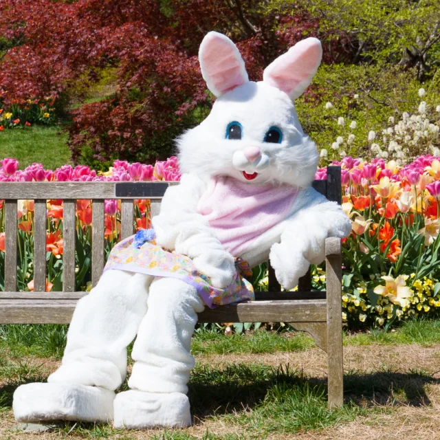 Wishing everyone a beautiful Easter weekend.  Hope your days are filled with a bit more sunshine than we are currently having ☔️⚡️and way to much chocolate! 🍫🐰#happyeaster #easter #chocolate